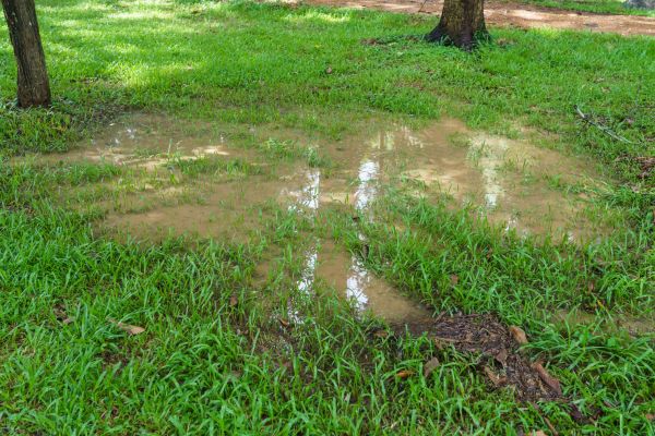 Storm Water Drainage Service in Simpsonville