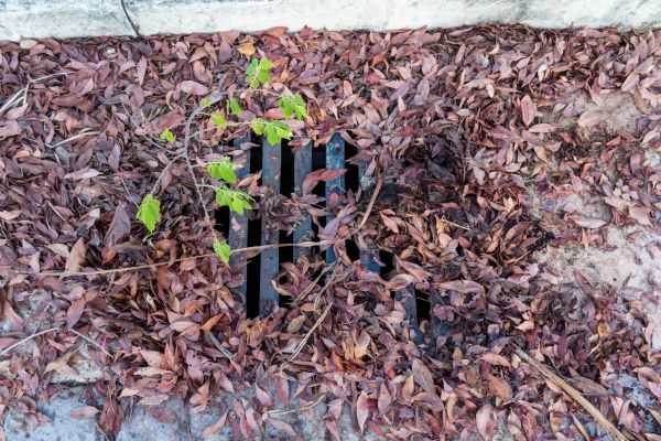 Yard Drain Unclogging in Simpsonville