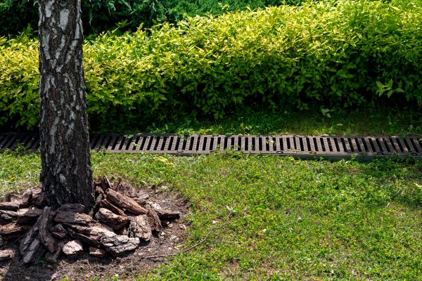 Wet Yard Drainage in Simpsonville