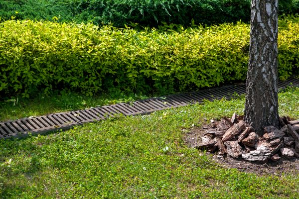 Residential Landscape Drainage in Simpsonville
