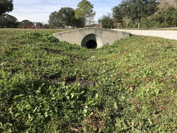 Cost of Swale Drainage Service in Simpsonville
